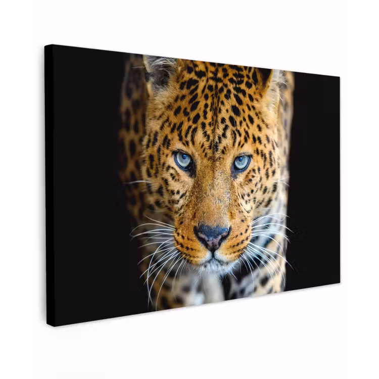 Luipaard - Dieren - Portret - Wilde dieren - Zwart canvas 2cm klein -z3d