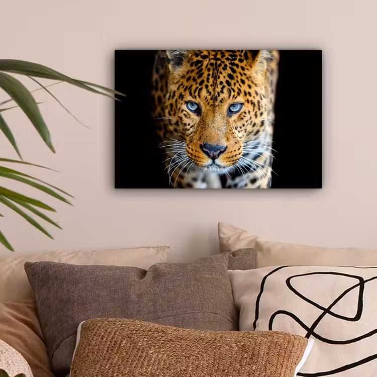 Luipaard - Dieren - Portret - Wilde dieren - Zwart canvas 2cm klein -sfeer1