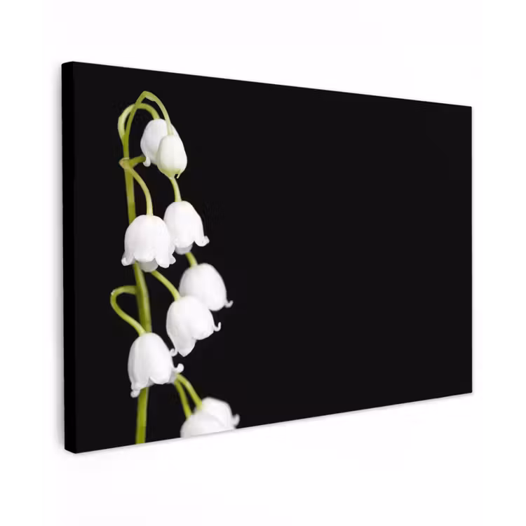 Lelietjes van dalen - Bloemen - Zwart - Flora canvas 2cm klein -z3d
