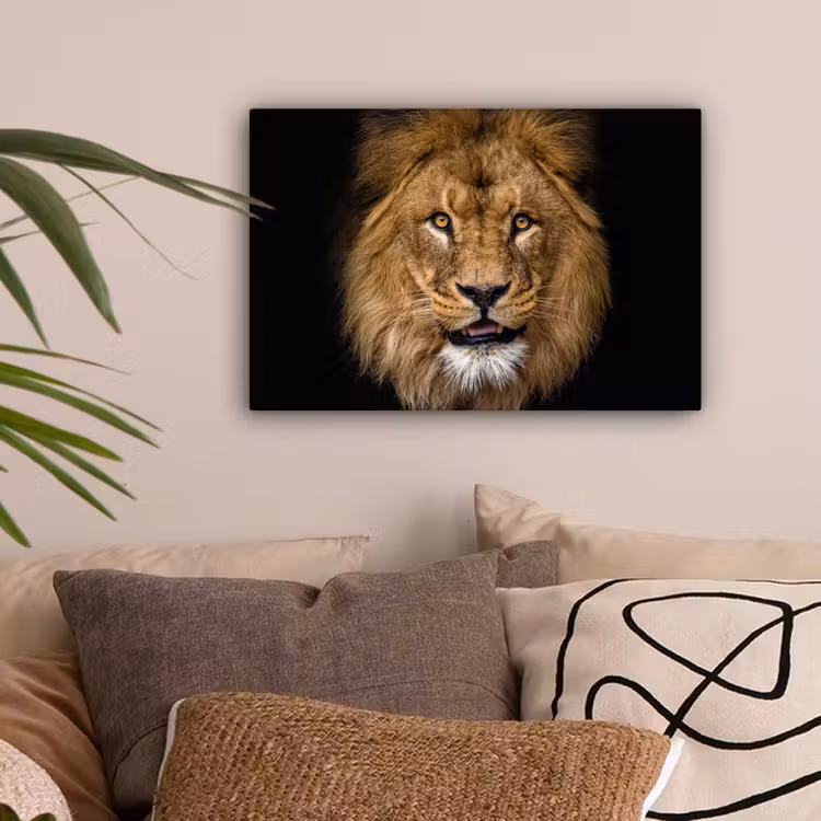 Leeuw - Portret - Zwart - Dieren canvas 2cm klein -sfeer1