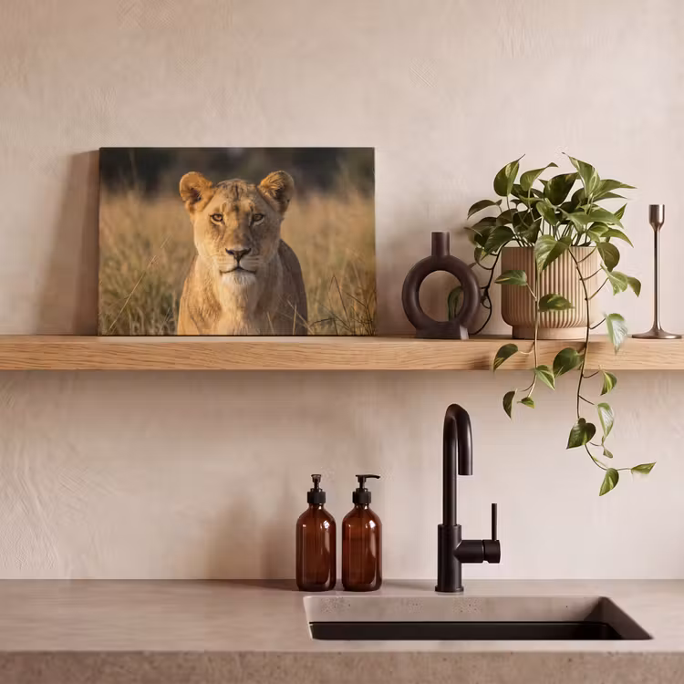 Leeuwin - Gras - Geel canvas 2cm klein -sfeer3