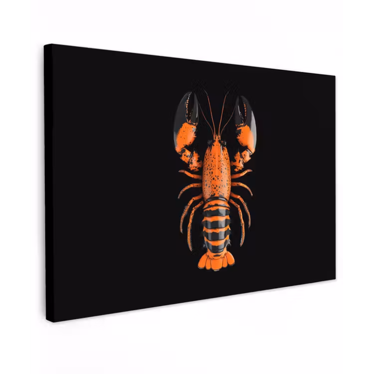 Kreeft - Oranje - Zwart - Modern canvas 2cm klein -z3d