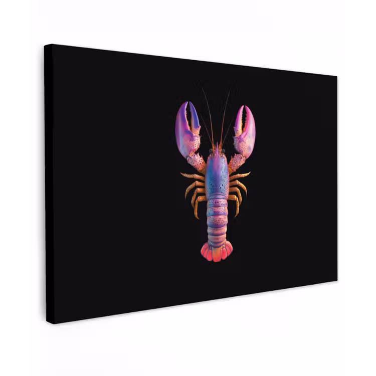 Kreeft - Paars - Roze - Zwart - Stippen - Lila canvas 2cm klein -z3d