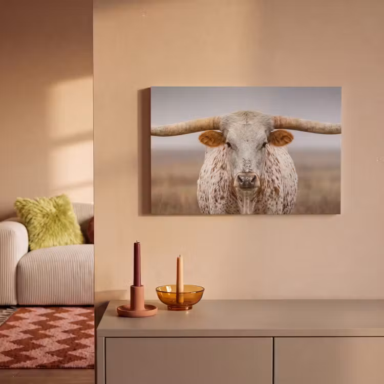 Longhorn - Grasveld - Dier canvas 2cm klein -sfeer1