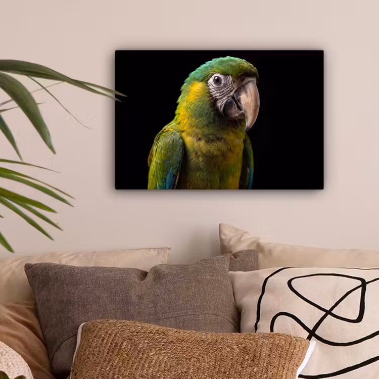 Ara - Portret - Groen canvas 2cm klein -sfeer1