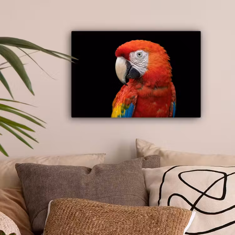 Ara - Portret - Rood canvas 2cm klein -sfeer1