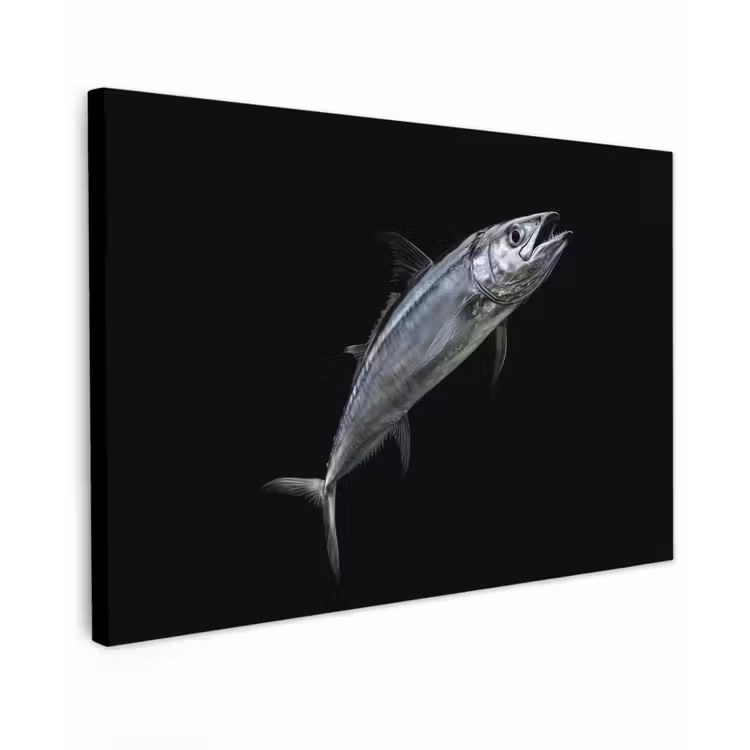Makreel - Vis - Zwart canvas 2cm klein -z3d