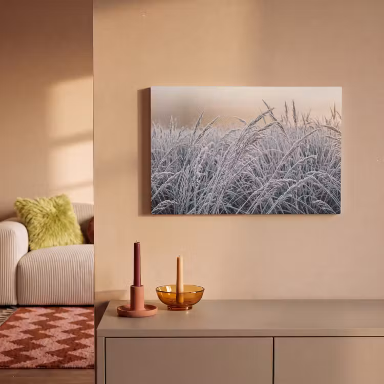 Rijp - Gras - Kristallen - Winter - Minimalistisch canvas 2cm klein -sfeer1