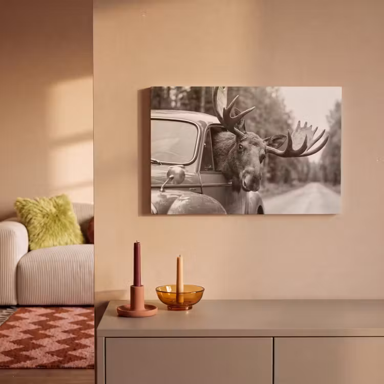 Eland - Auto - Gewei - Zwart - Wit canvas 2cm klein -sfeer1