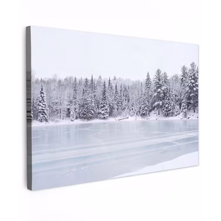 Meer - Dennen - IJs - Winter - Rustgevend canvas 2cm klein -z3d