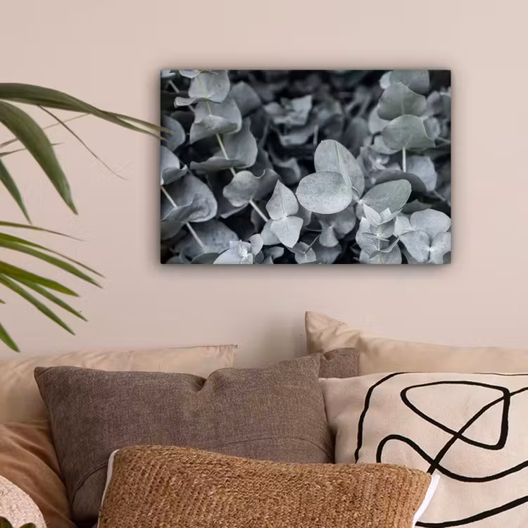 Natuur - Planten - Eucalyptus - Bladeren canvas 2cm klein -sfeer1