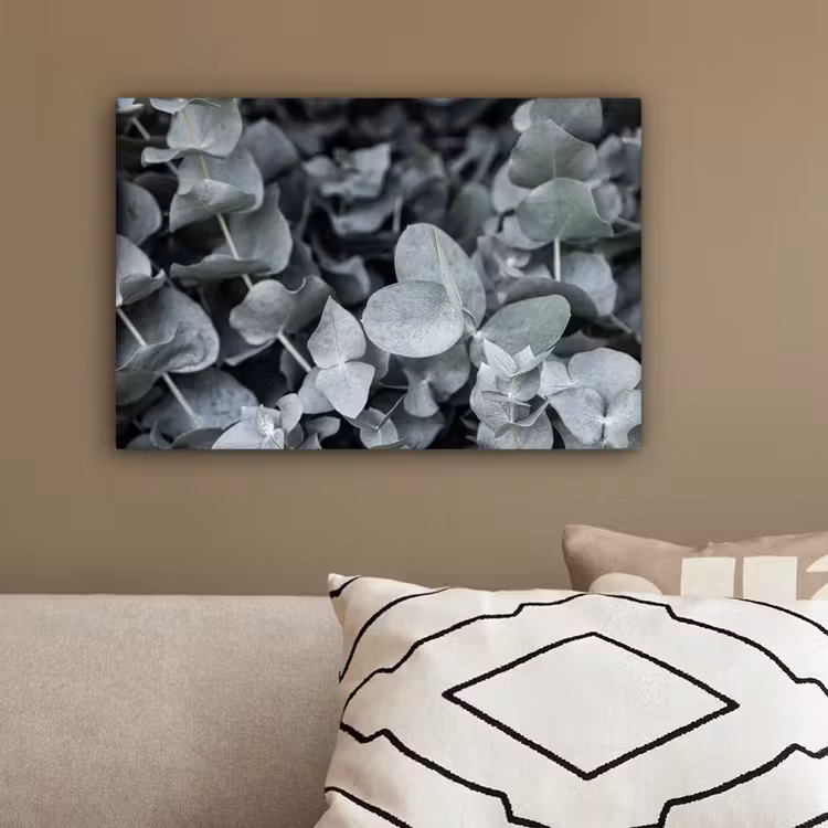 Natuur - Planten - Eucalyptus - Bladeren canvas 2cm klein -sfeer3