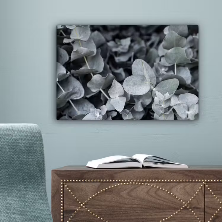 Natuur - Planten - Eucalyptus - Bladeren canvas 2cm klein -sfeer4