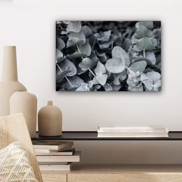 Natuur - Planten - Eucalyptus - Bladeren canvas 2cm klein -sfeer6