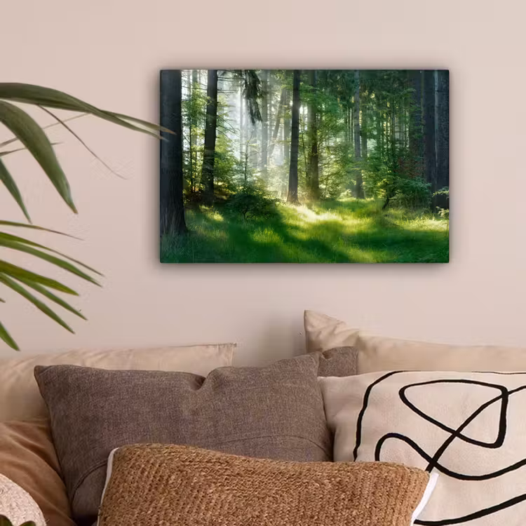 Natuur - Bomen - Bos - Groen - Zon - Gras - Planten canvas 2cm klein -sfeer1