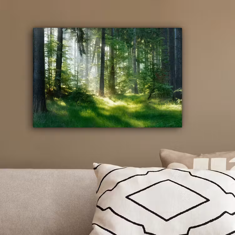 Natuur - Bomen - Bos - Groen - Zon - Gras - Planten canvas 2cm klein -sfeer3