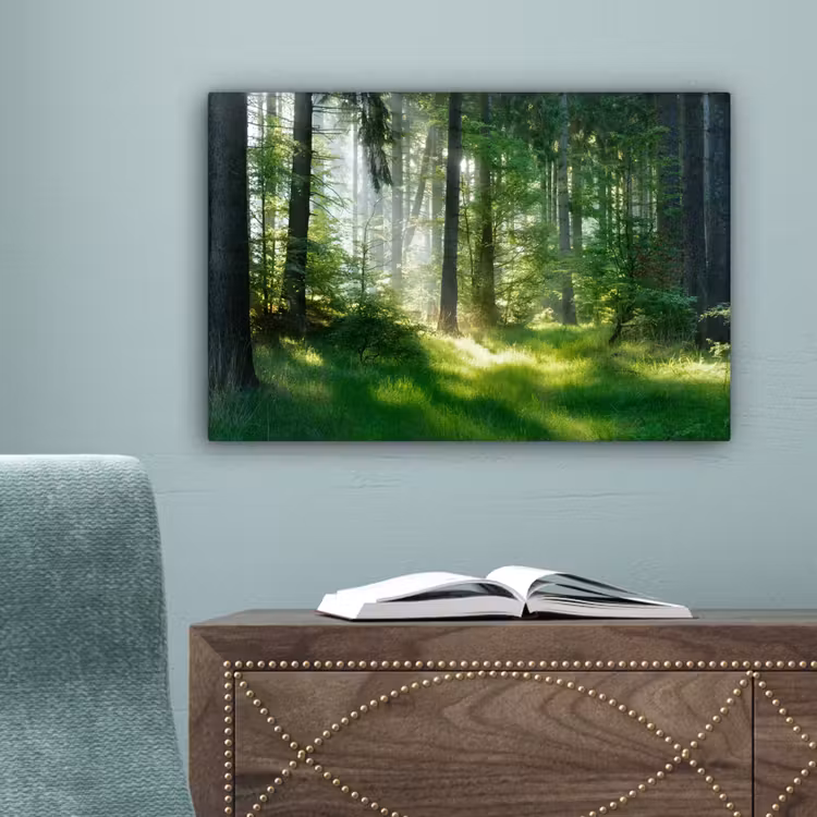 Natuur - Bomen - Bos - Groen - Zon - Gras - Planten canvas 2cm klein -sfeer4