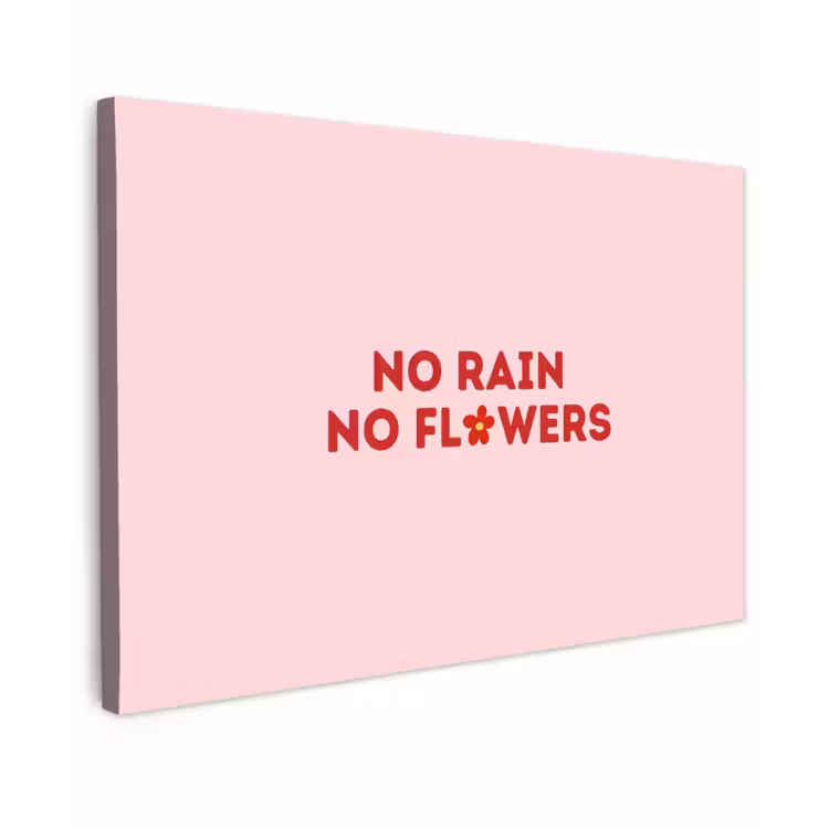 No rain no flowers - Minimalistisch - Roze - Bloem canvas 2cm klein -z3d