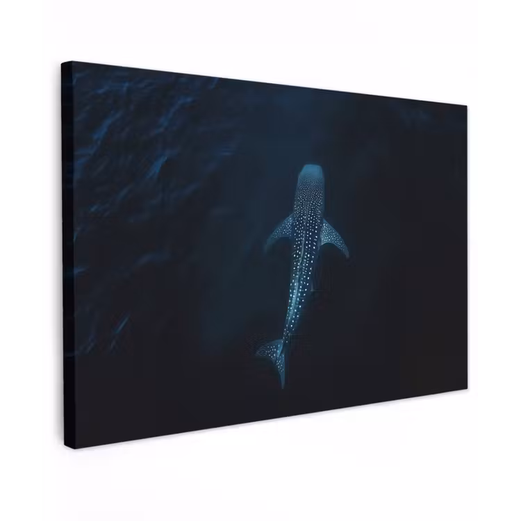 Oceaan - Walvishaai - Donkerblauw - Vlekken canvas 2cm klein -z3d