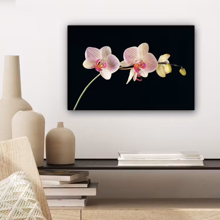 Orchidee - Bloemen - Zwart - Roze - Knoppen canvas 2cm klein -sfeer6