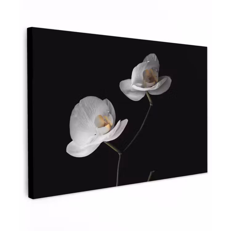 Orchidee - Bloemen - Zwart - Wit - Stilleven canvas 2cm klein -z3d