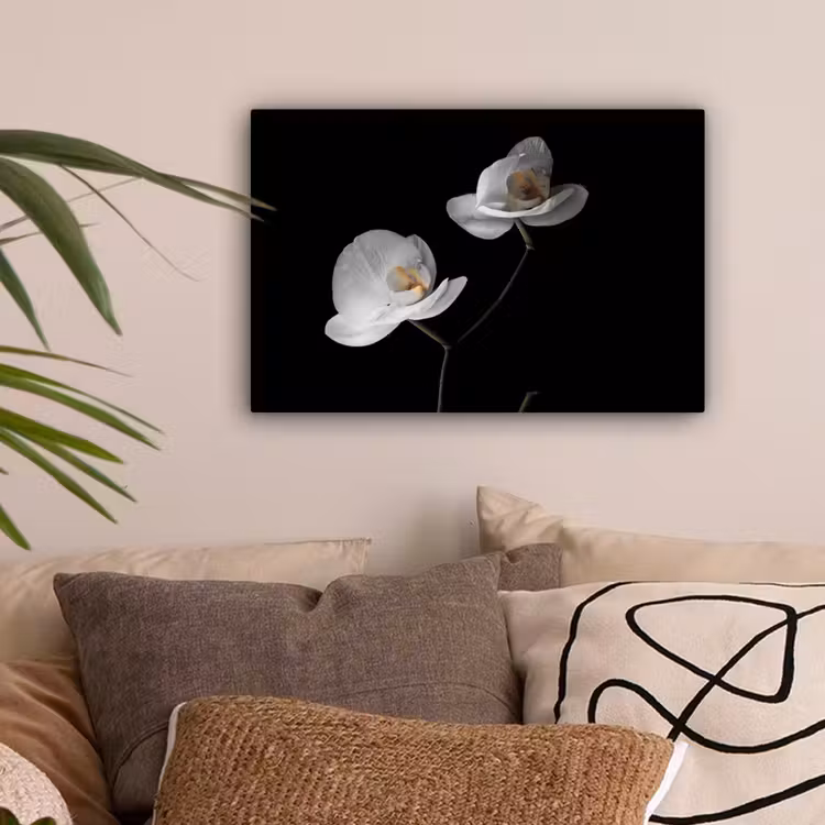 Orchidee - Bloemen - Zwart - Wit - Stilleven canvas 2cm klein -sfeer1