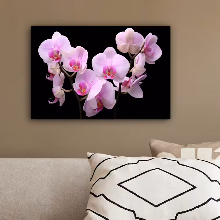 Orchidee - Bloemen - Roze - Flora canvas 2cm klein -sfeer3