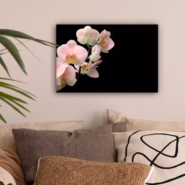 Orchidee - Bloemen - Roze - Stilleven - Flora canvas 2cm klein -sfeer1