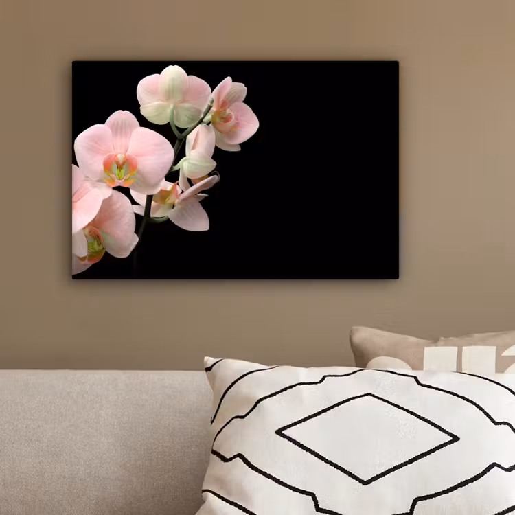 Orchidee - Bloemen - Roze - Stilleven - Flora canvas 2cm klein -sfeer3