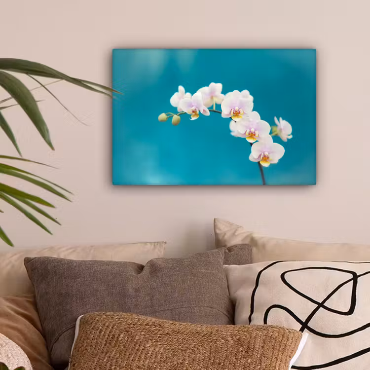 Orchidee - Bloemen - Plant - Wit - Paars canvas 2cm klein -sfeer1