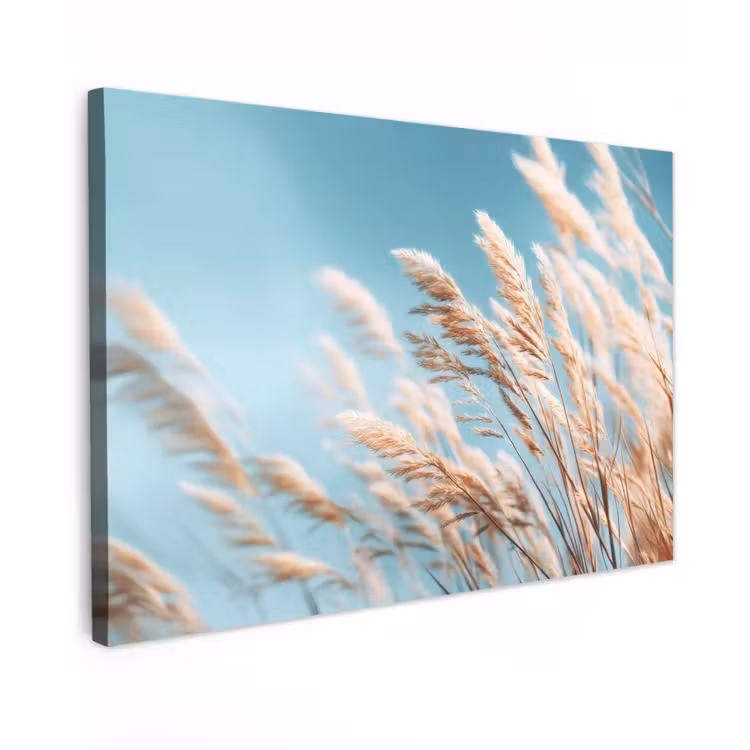 Siergras - Wind - Lichtbruin canvas 2cm klein -z3d