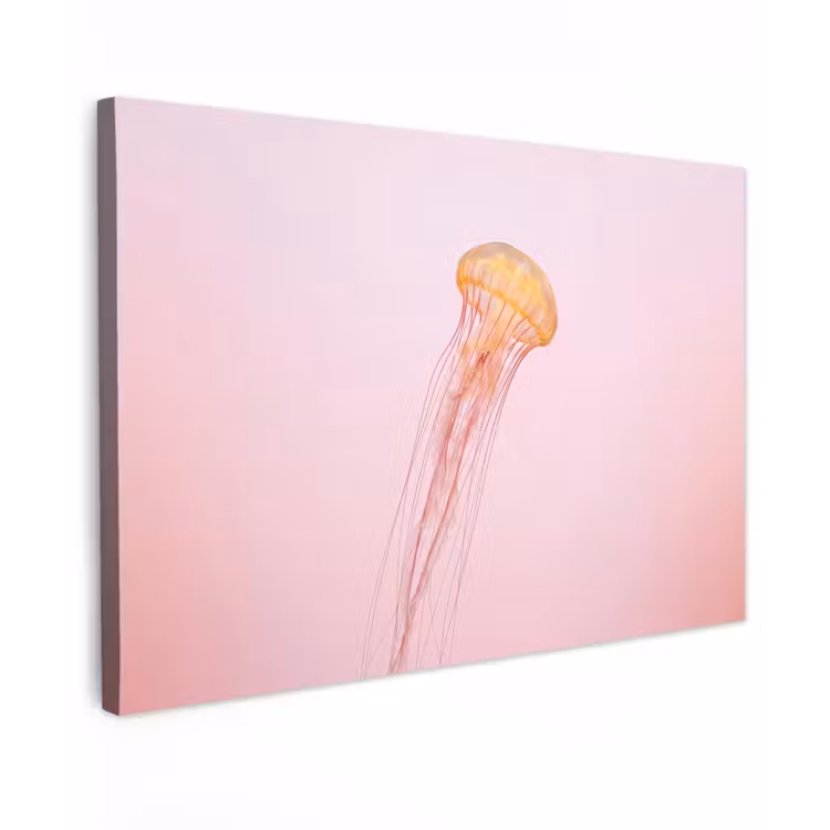 Sierlijk - Kwal - Roze canvas 2cm klein -z3d