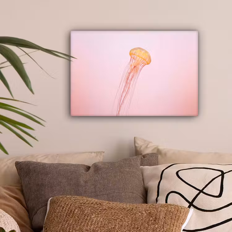 Sierlijk - Kwal - Roze canvas 2cm klein -sfeer1