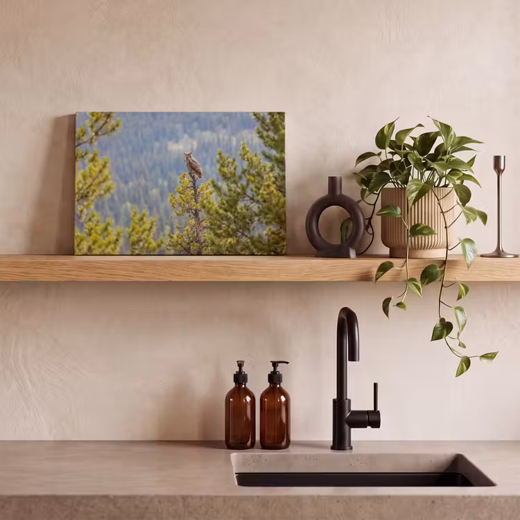 Uil - Oehoe - Bomen - Natuur canvas 2cm klein -sfeer3
