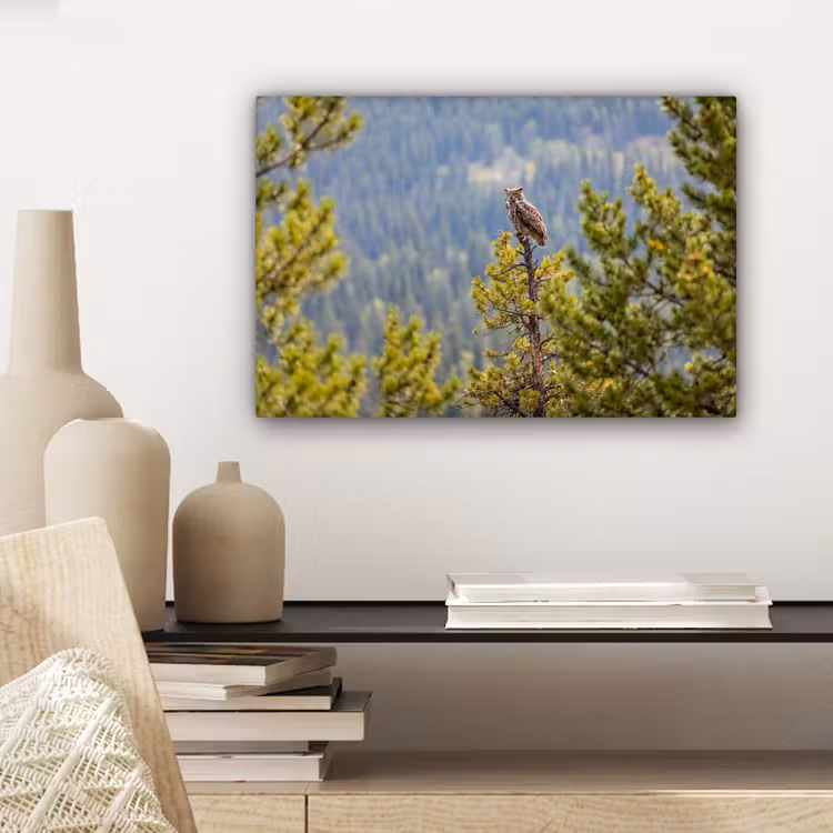 Uil - Oehoe - Bomen - Natuur canvas 2cm klein -sfeer6