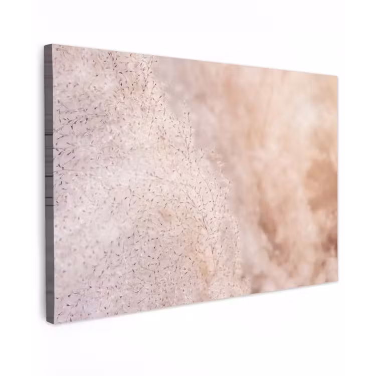 Pampasgras - Structuur - Planten - Natuur canvas 2cm klein -z3d