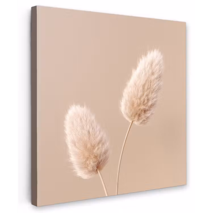 Pampas pluimen - Beige - Planten canvas 2cm middel -z3d