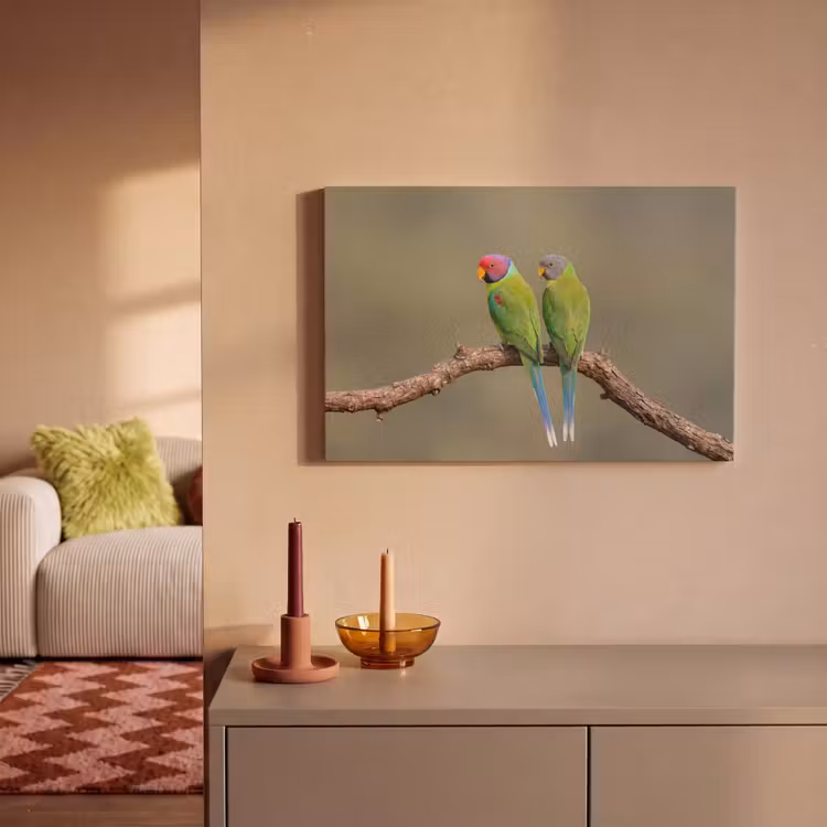 Papagaai - Tak - Natuur - Kleurrijk canvas 2cm klein -sfeer1