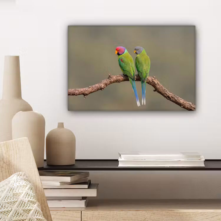 Papagaai - Tak - Natuur - Kleurrijk canvas 2cm klein -sfeer6