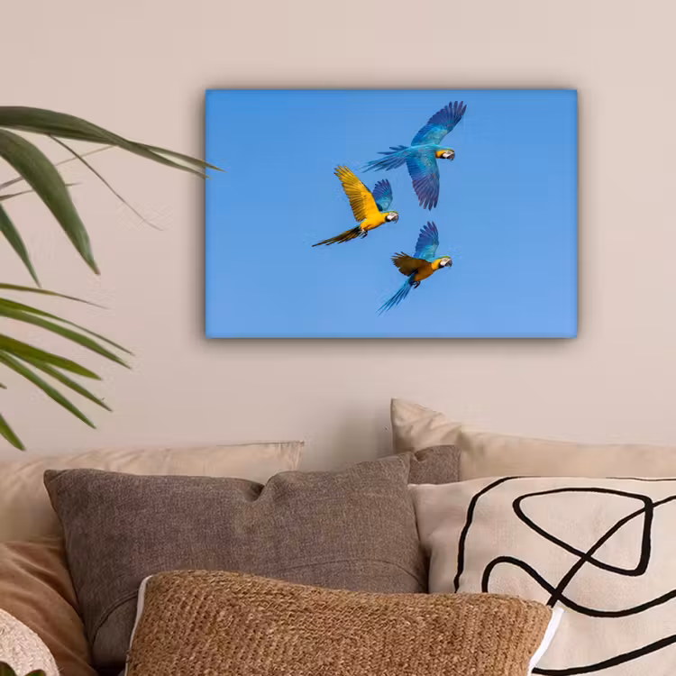 Papagaai - Vliegen - Blauw - Geel canvas 2cm klein -sfeer1