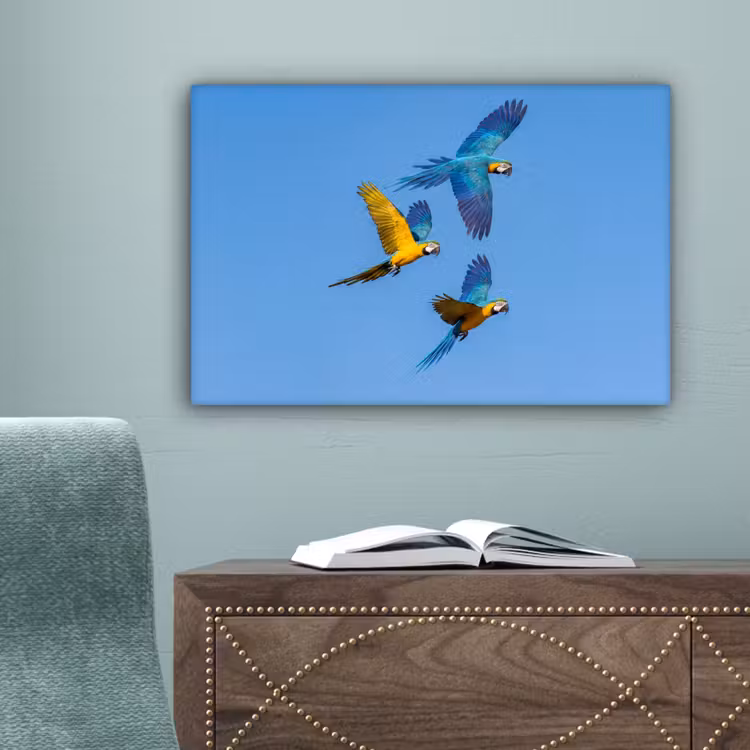 Papagaai - Vliegen - Blauw - Geel canvas 2cm klein -sfeer4