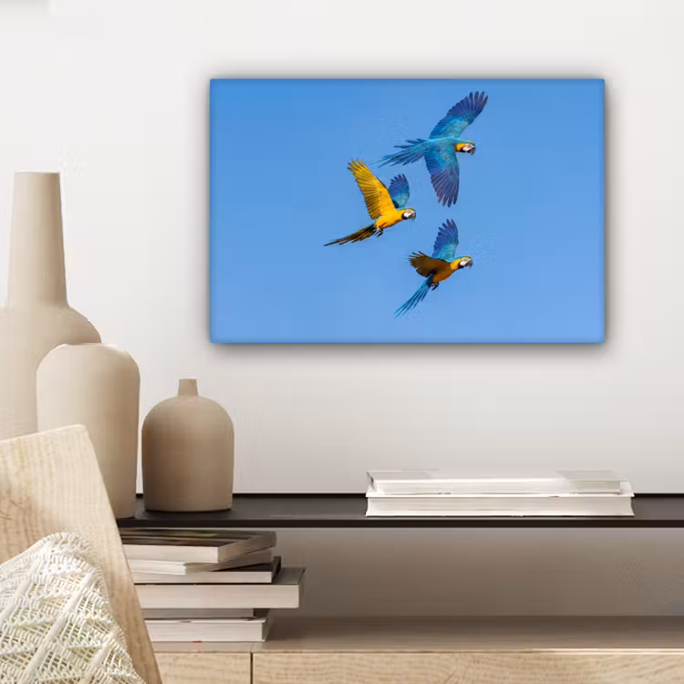 Papagaai - Vliegen - Blauw - Geel canvas 2cm klein -sfeer6