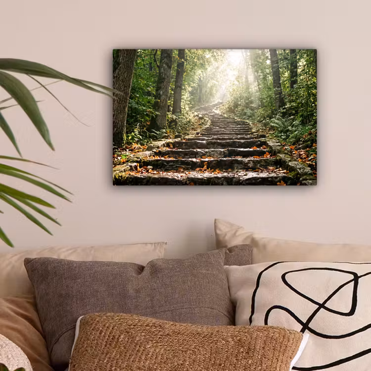 Stenen - Trap - Bos - Natuur canvas 2cm klein -sfeer1