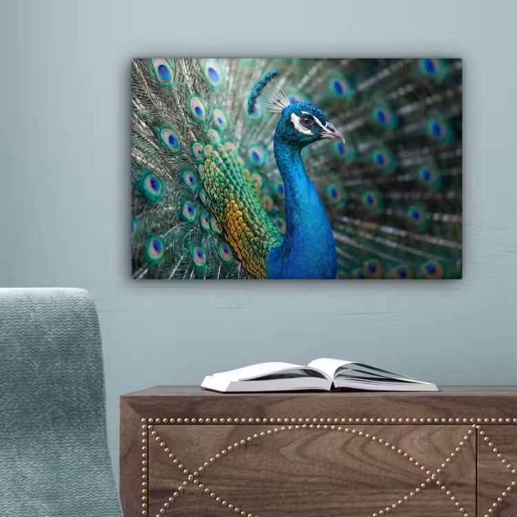 Pauw - Veren - Blauw canvas 2cm klein -sfeer4