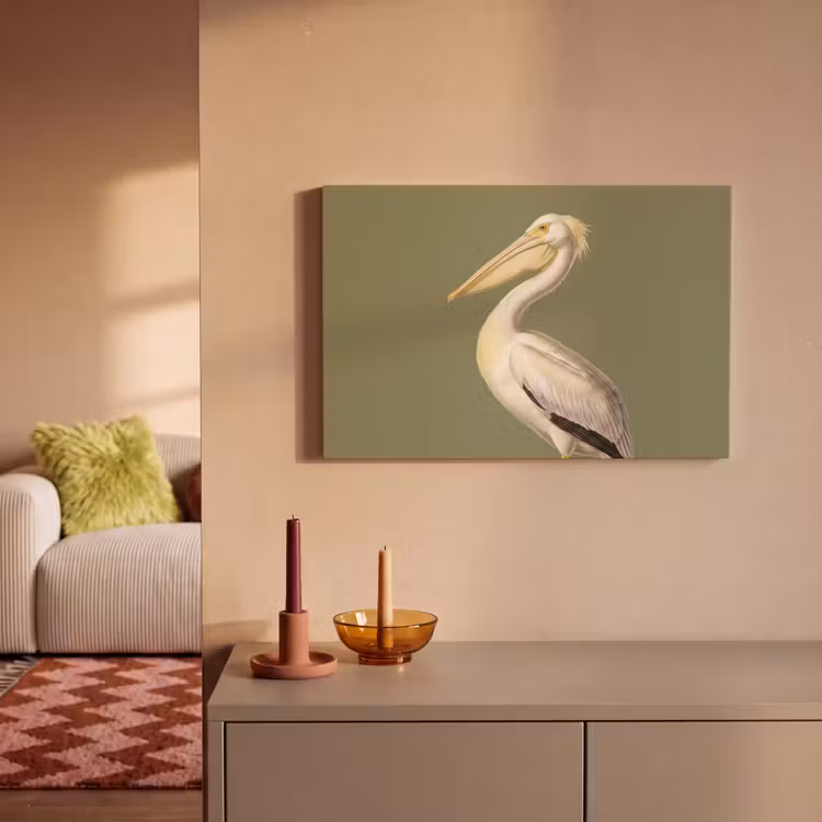Pelikaan - Wit - Vogel - Klassiek - Natuur canvas 2cm klein -sfeer1