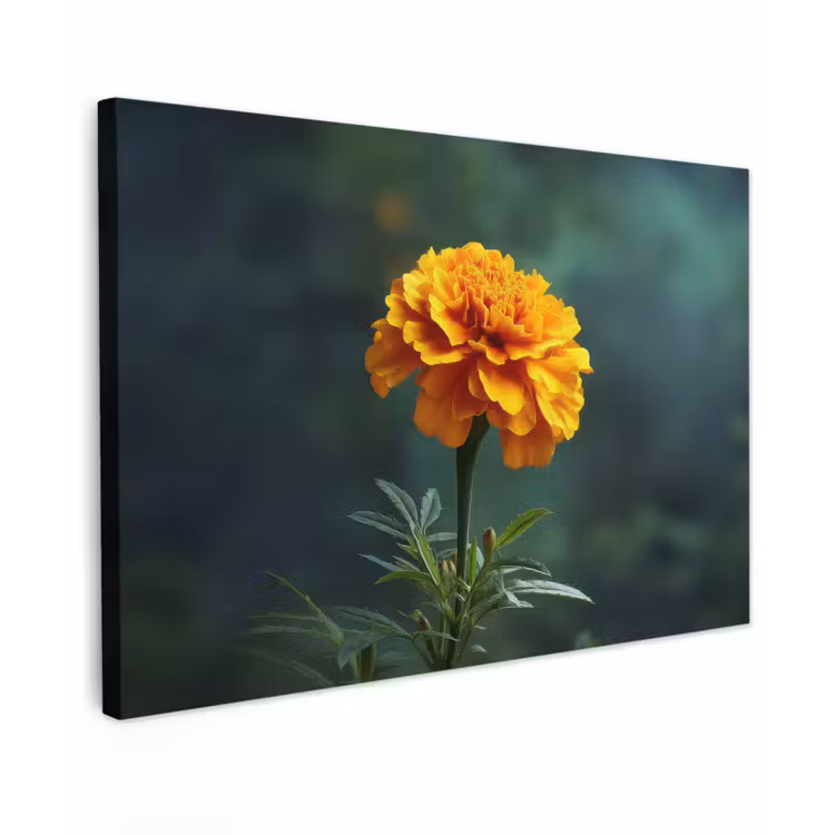 Bloemblaadjes - Afrikaan - Oranje - Wazig canvas 2cm klein -z3d