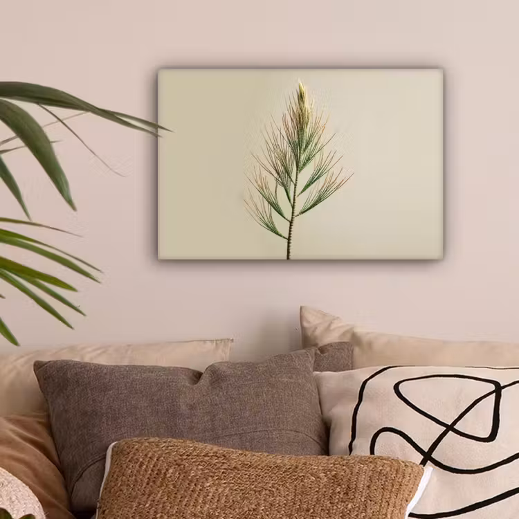Dennentak - Naaldvormige bladeren - Lichtgroen canvas 2cm klein -sfeer1