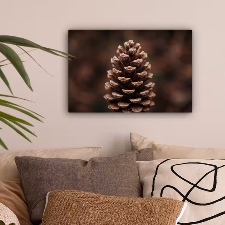 Dennenappel - Bos - Herfst - Bruin - Sfeervol canvas 2cm klein -sfeer1