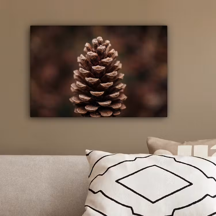Dennenappel - Bos - Herfst - Bruin - Sfeervol canvas 2cm klein -sfeer3