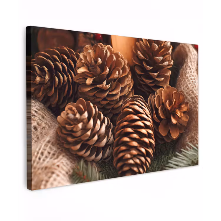 Dennenappels - Boom - Winter - Natuur - Bruin canvas 2cm klein -z3d